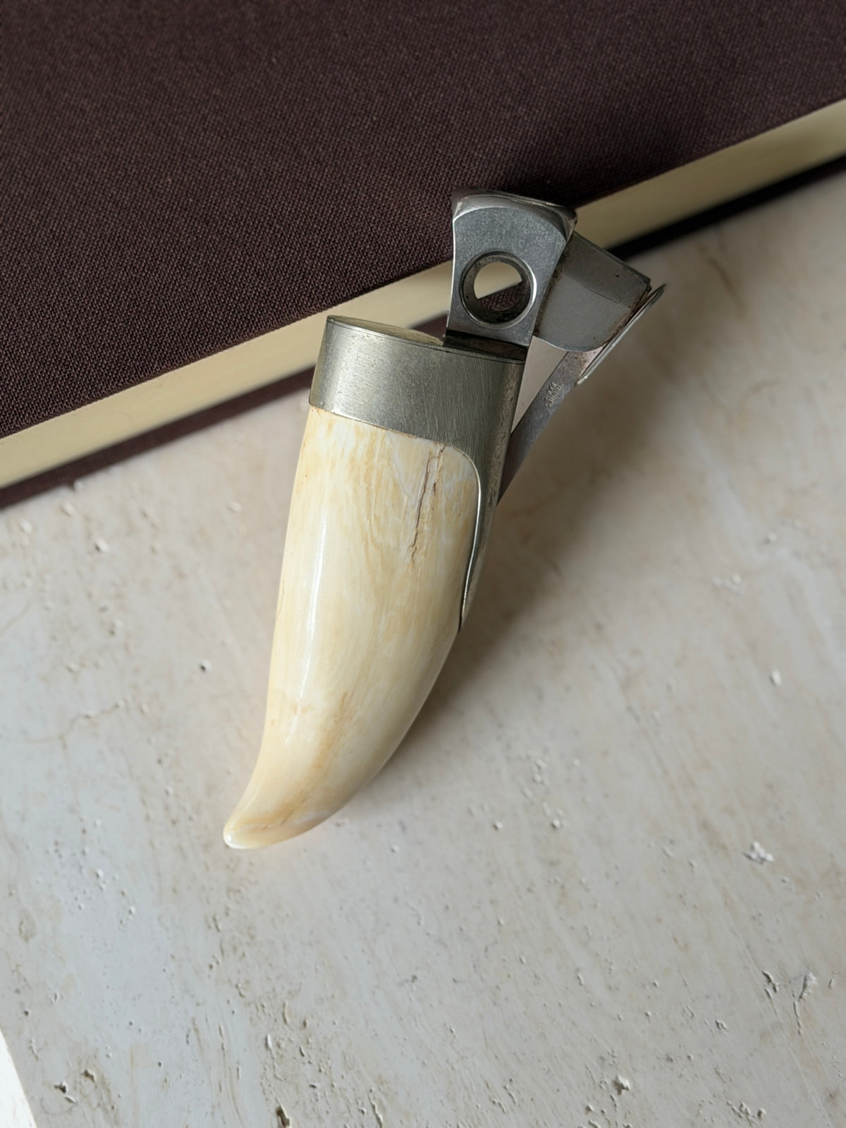 Hermes whale tooth cigar cutter against a brown book, showing the natural grain and a fine age crack in the cream tooth below the silver collar
