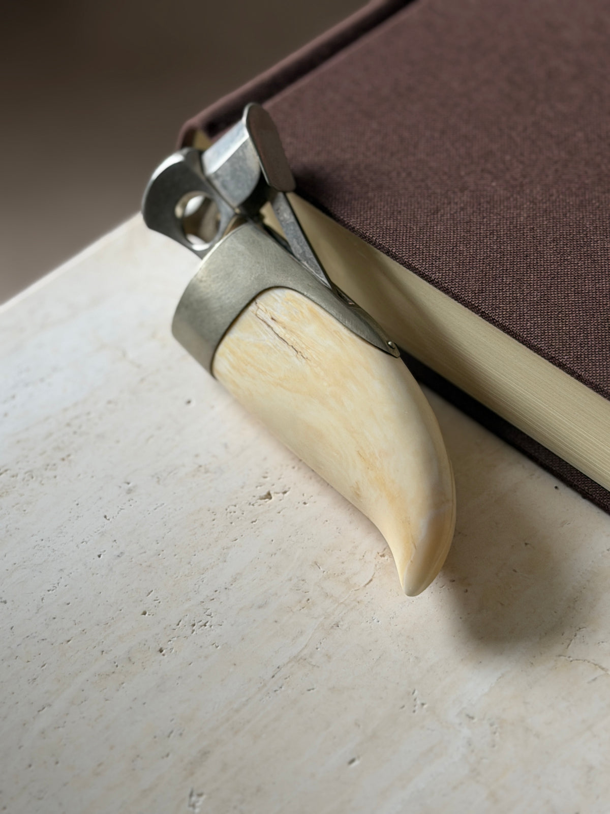 Angled view of the whale tooth cigar cutter on travertine, the curved polished tip leading up to the brushed silver cap