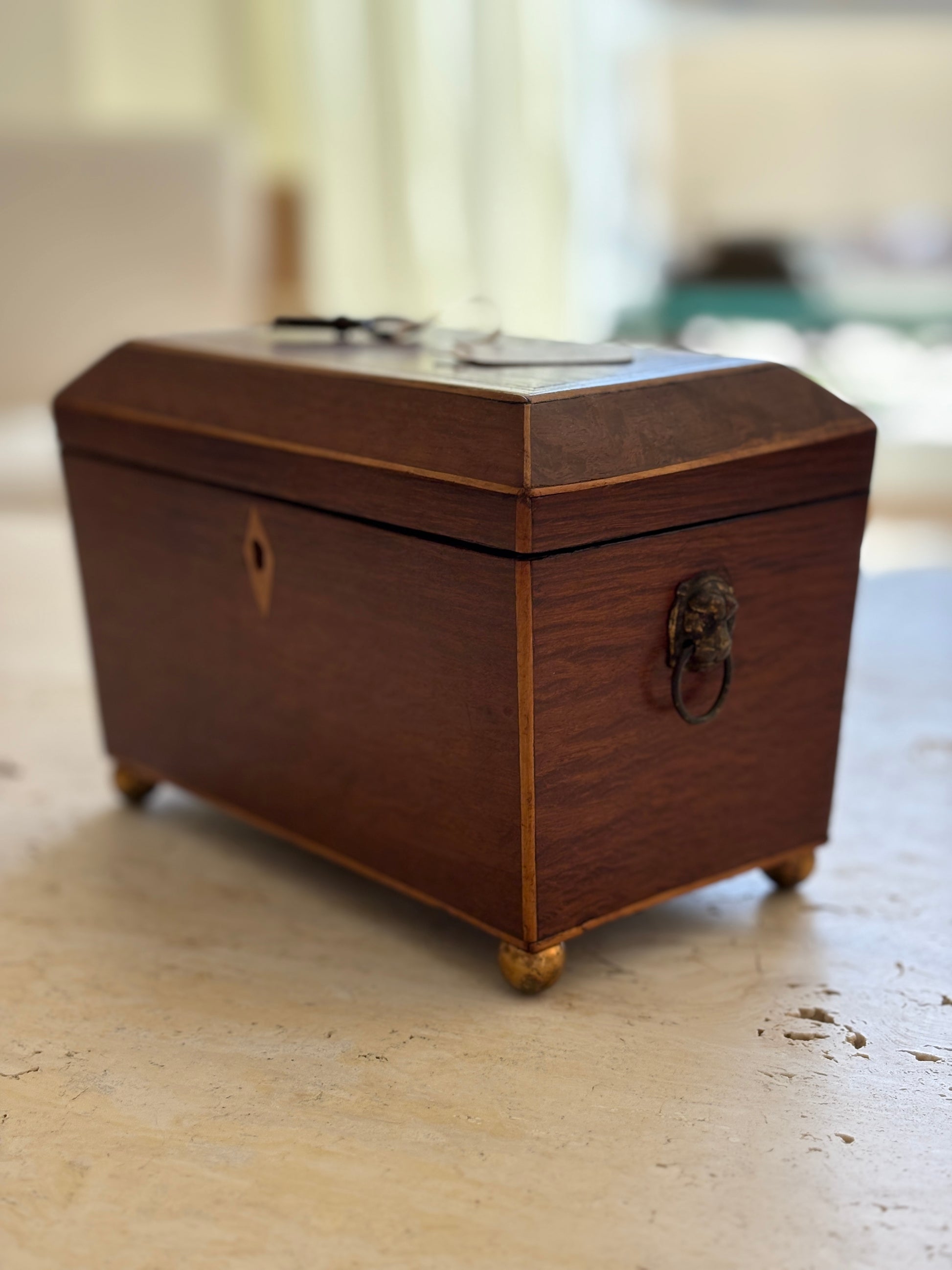 1820 English Regency Mahogany Tea Caddy | Collectors Gene Vintage Store