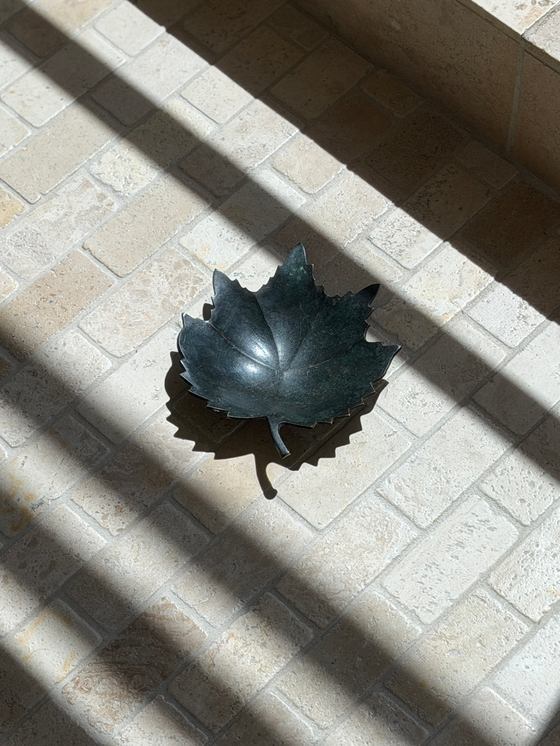 High angle view of dark green patinated cast bronze leaf catchall tray in dramatic natural sunlight