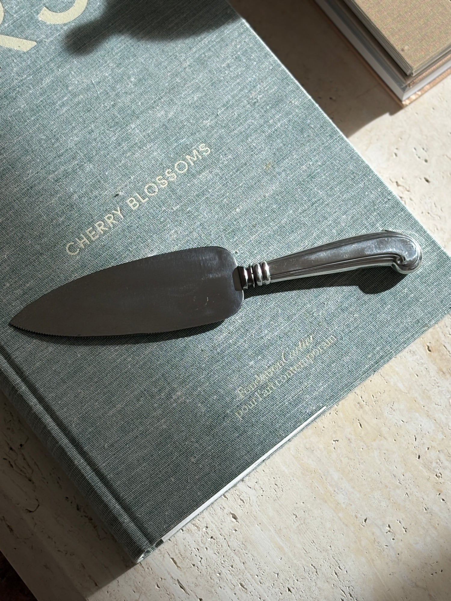 Cartier Sterling Silver &amp; Stainless Steel Serrated Pie &amp; Cake Server | Collectors Gene