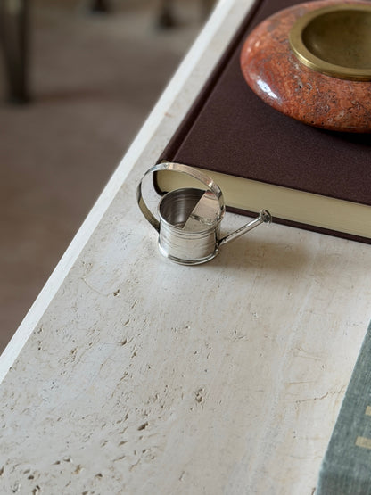High angle view showing the full form of the silver miniature watering can dropper