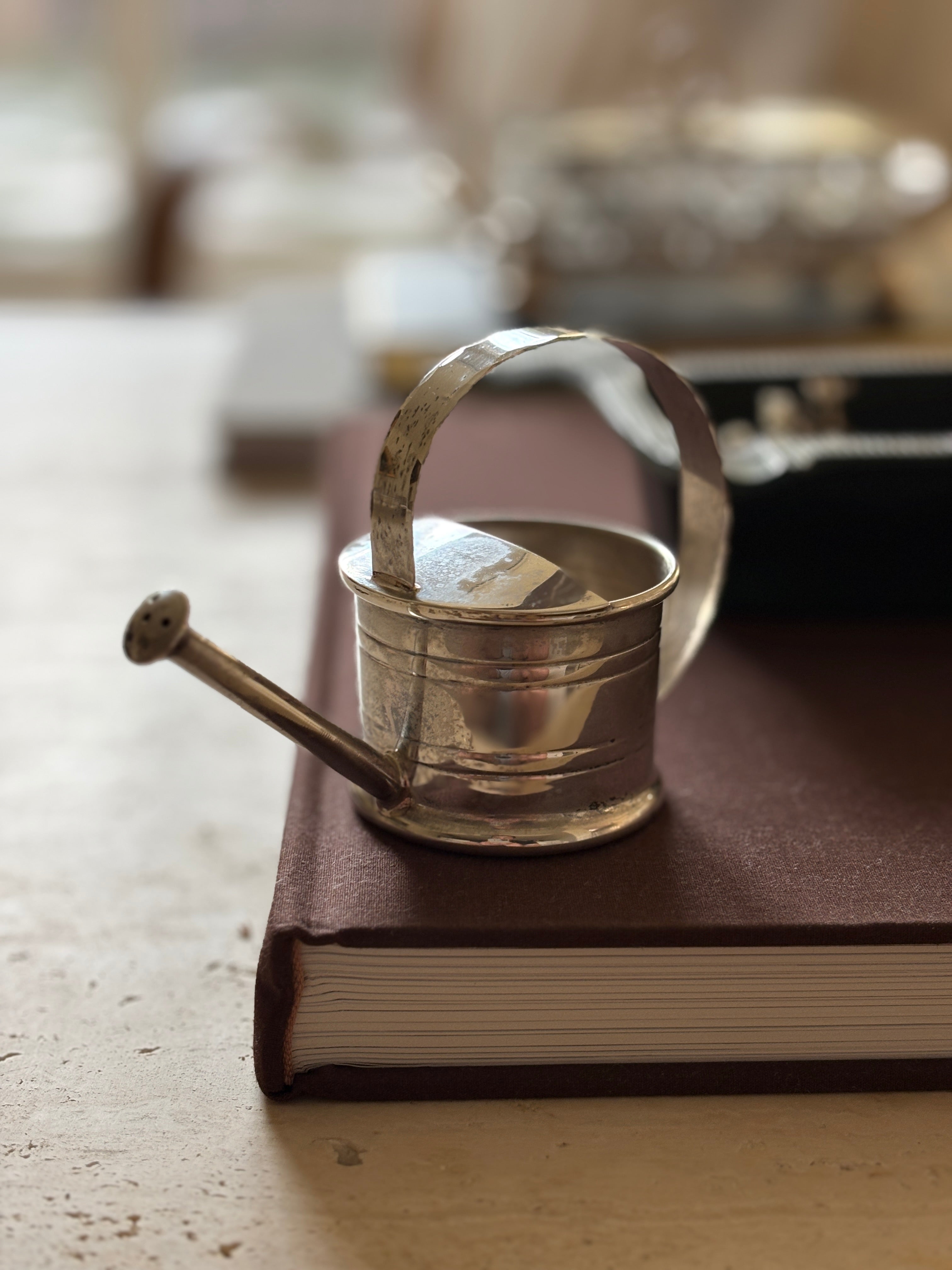 Cartier Sterling Silver Vermouth Dropper in Watering Can Form | Collectors Gene