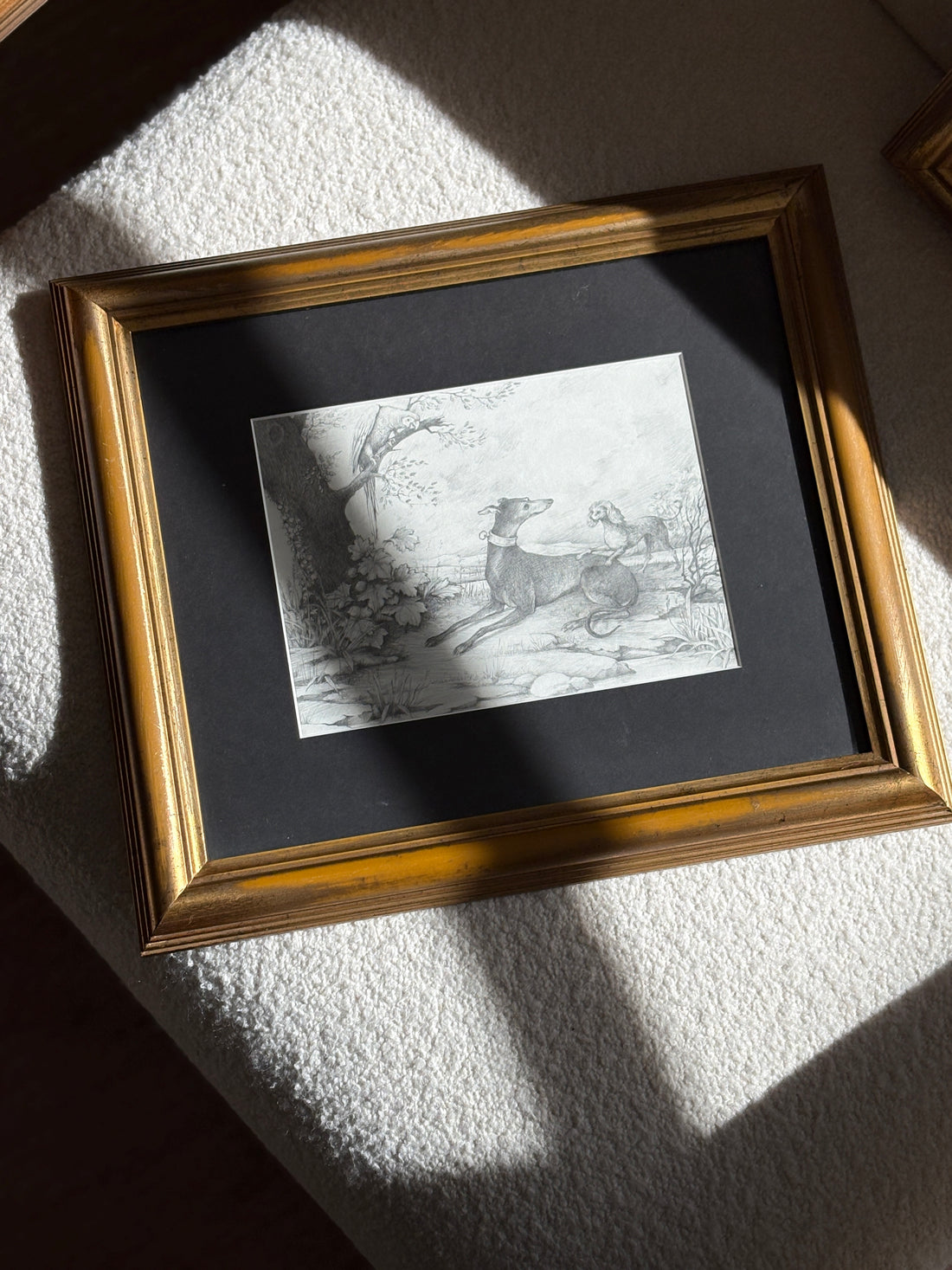 Graphite Drawing of Greyhound and Poodle in a Garden Landscape | Collectors Gene