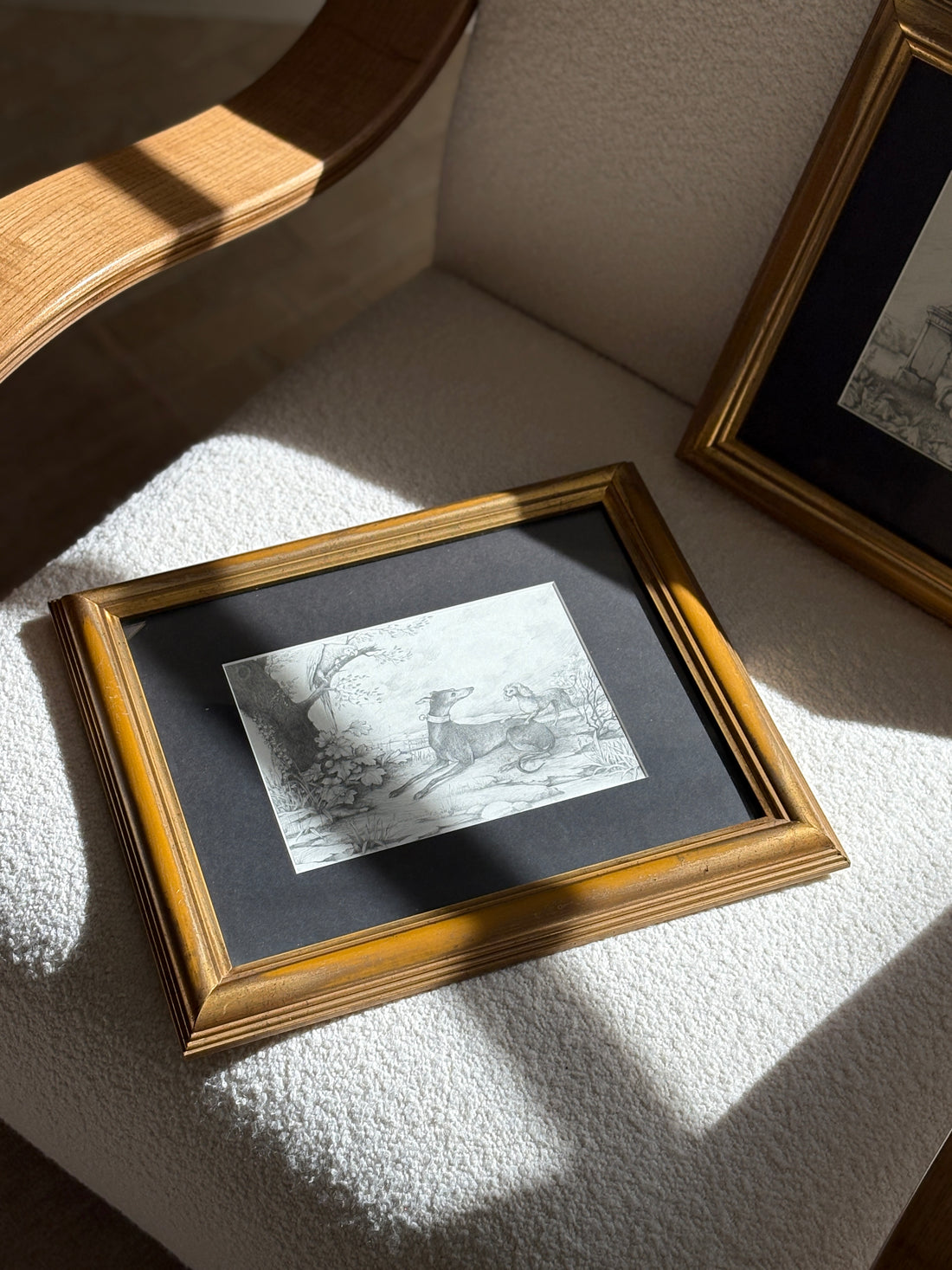 Graphite Drawing of Greyhound and Poodle in a Garden Landscape | Collectors Gene