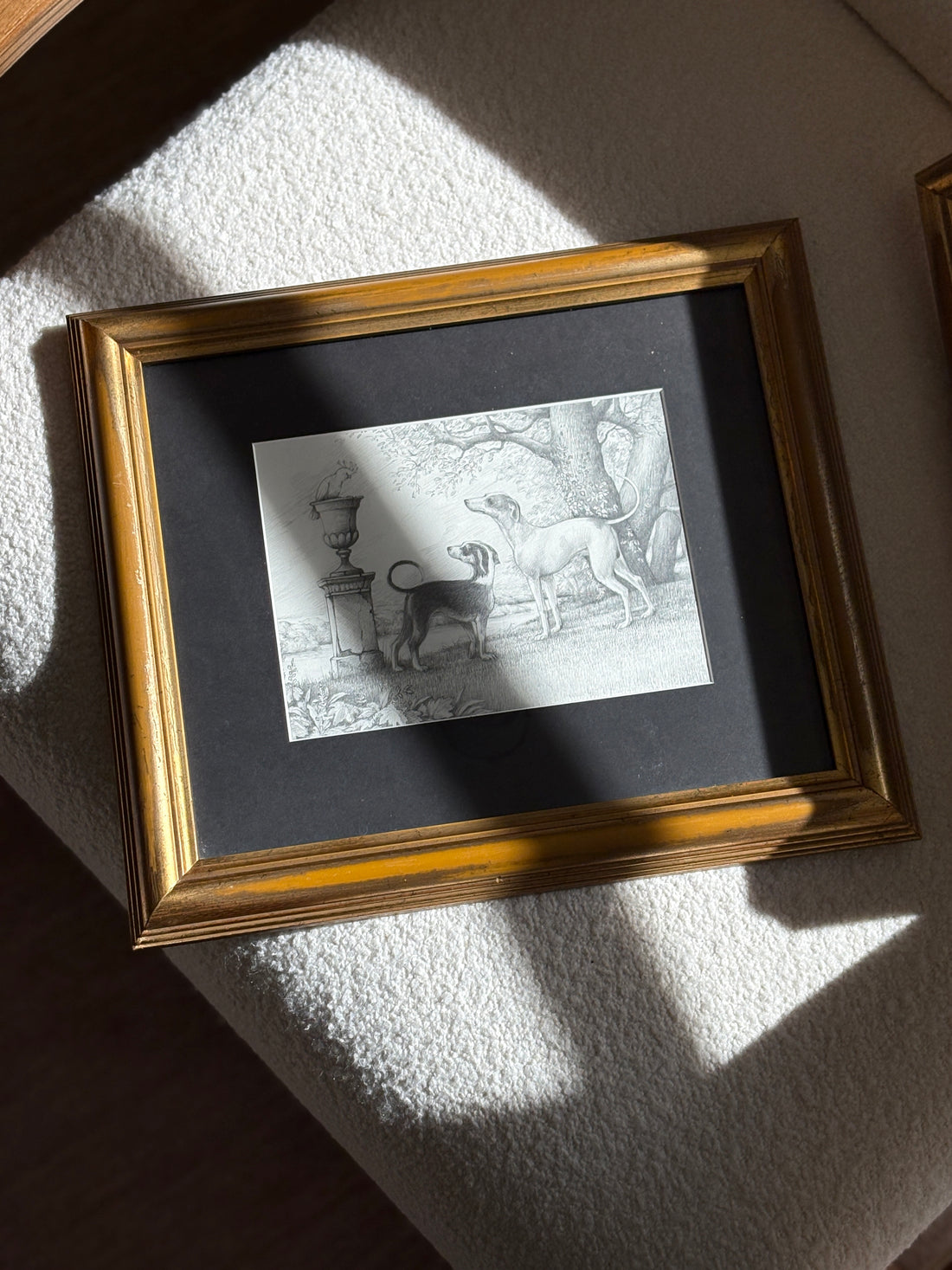 Graphite Drawing of Two Hounds and a Cockatoo in Garden Setting 2