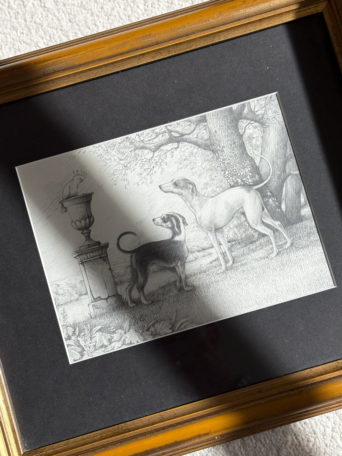 Graphite Drawing of Two Hounds and a Cockatoo in Garden Setting 2