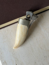 Hermes whale tooth cigar cutter against a brown book, showing the natural grain and a fine age crack in the cream tooth below the silver collar