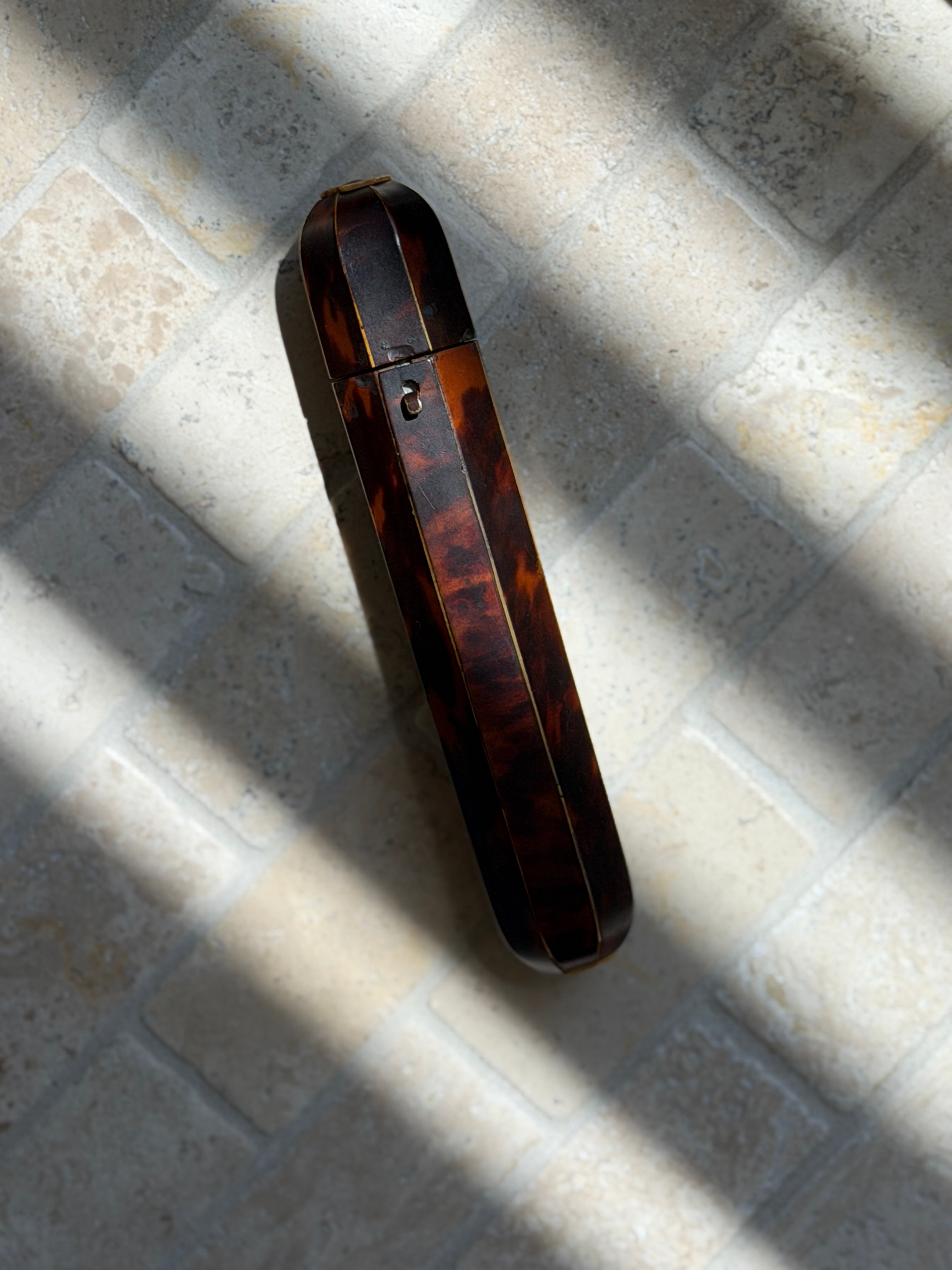 Regency Tortoiseshell Cigar Case, England c. 19th Century