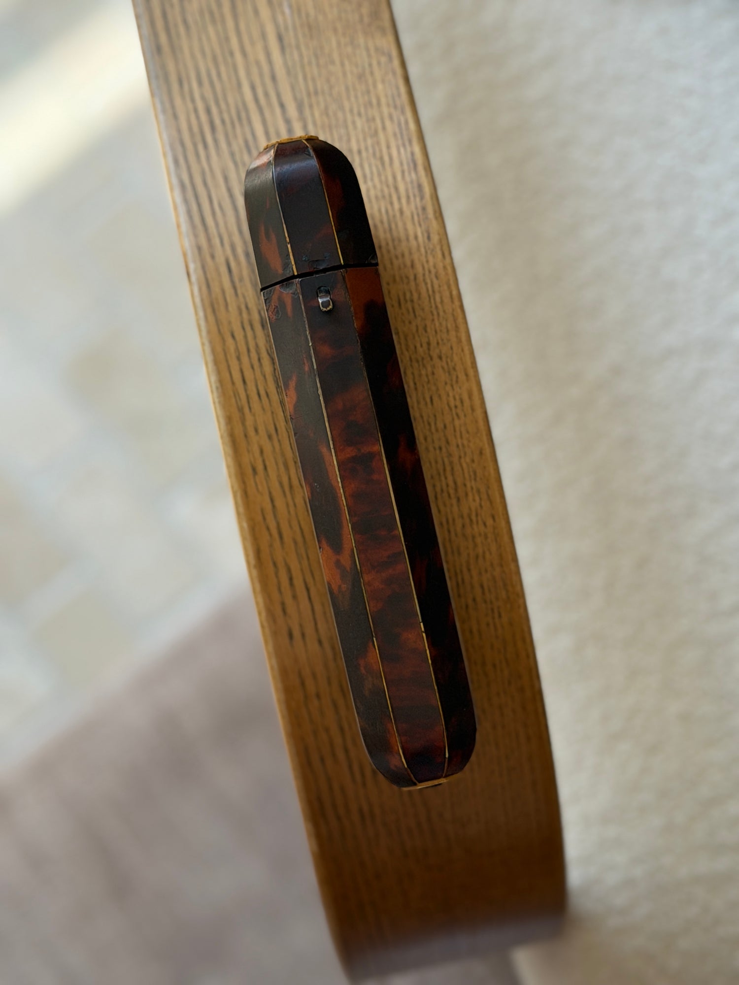 Regency Tortoiseshell Cigar Case, England c. 19th Century