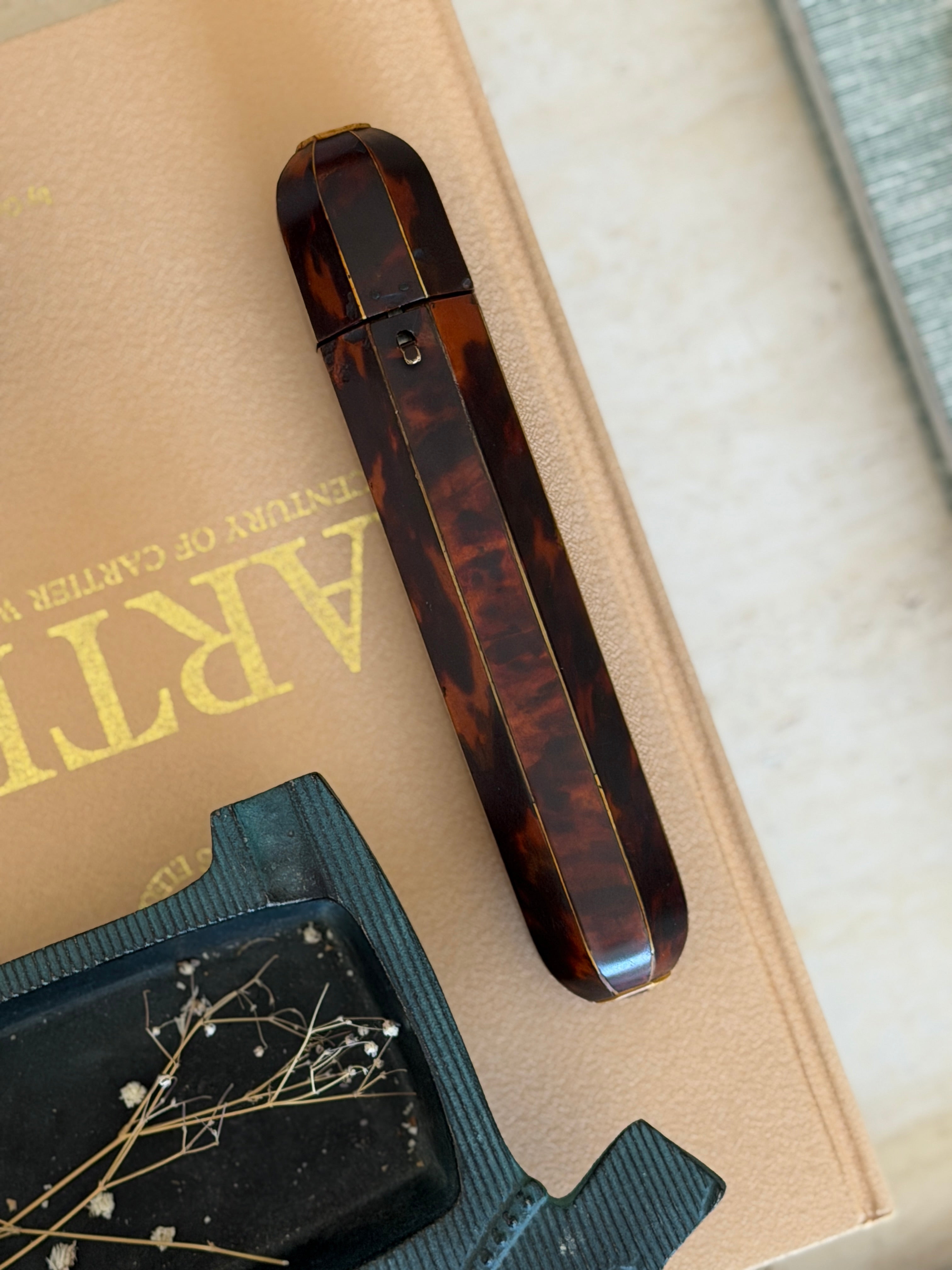 Regency Tortoiseshell Cigar Case, England c. 19th Century