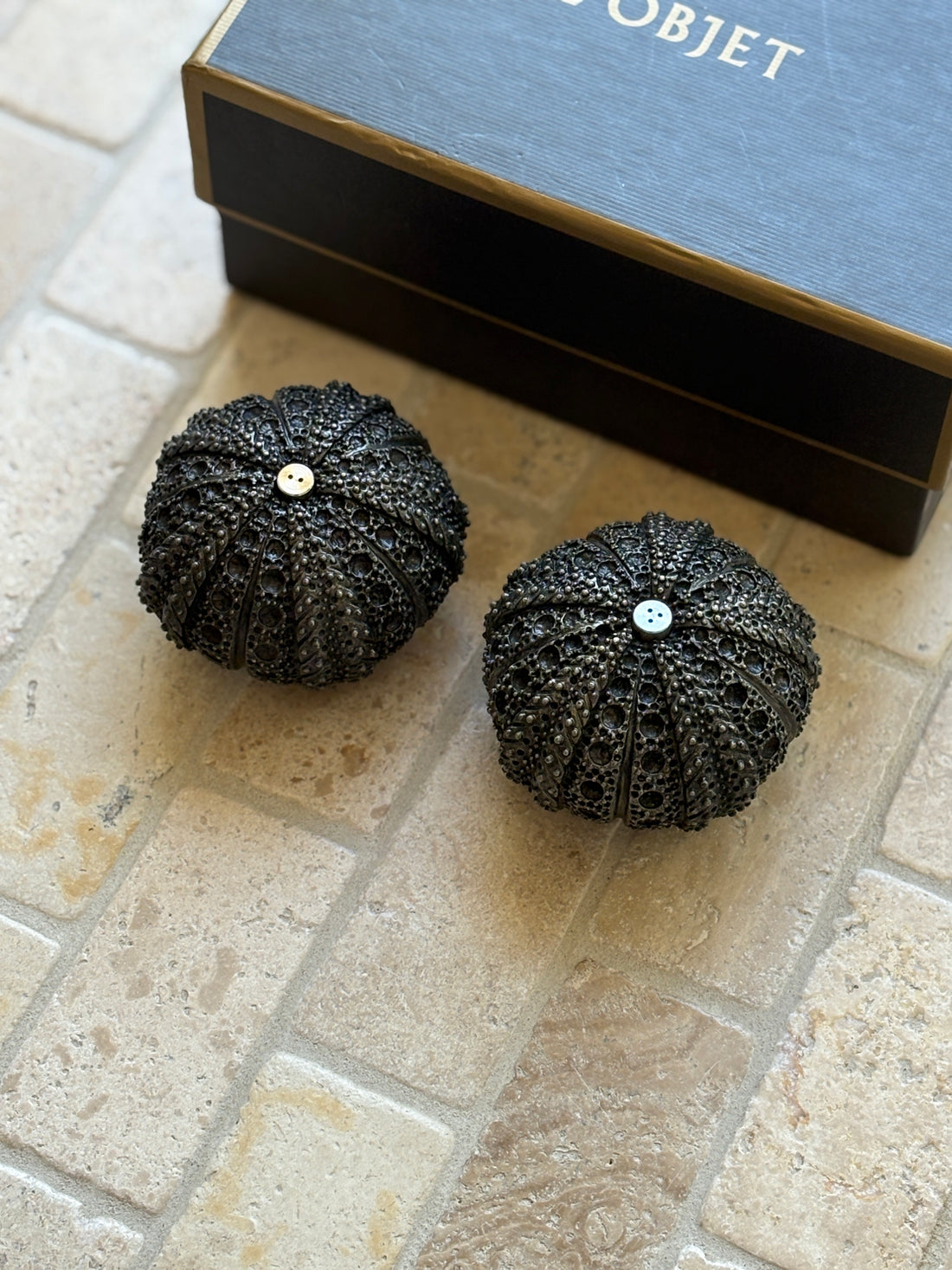 Sea Urchin Salt &amp; Pepper Shakers in Box by L&