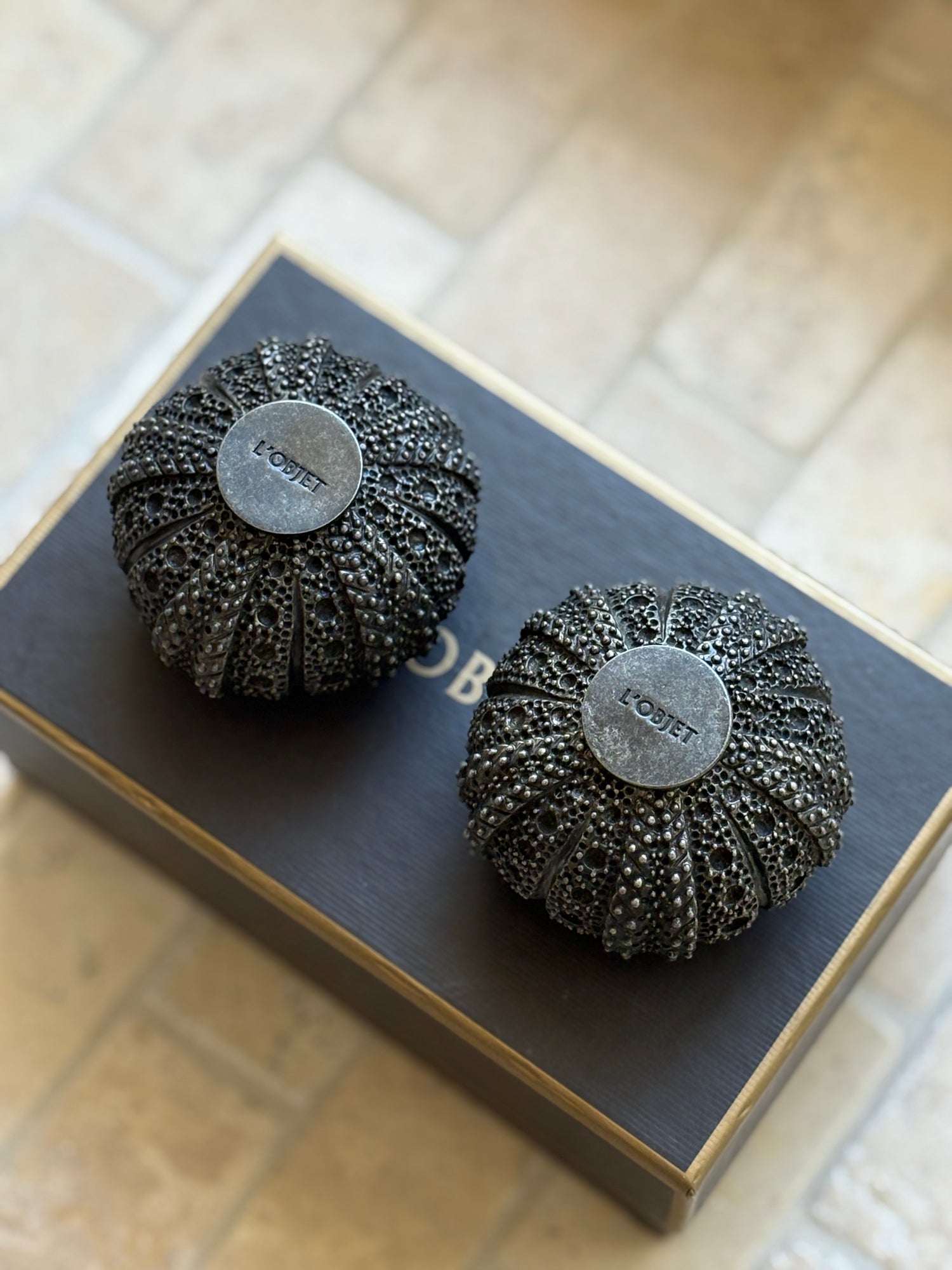 Sea Urchin Salt &amp; Pepper Shakers in Box by L&