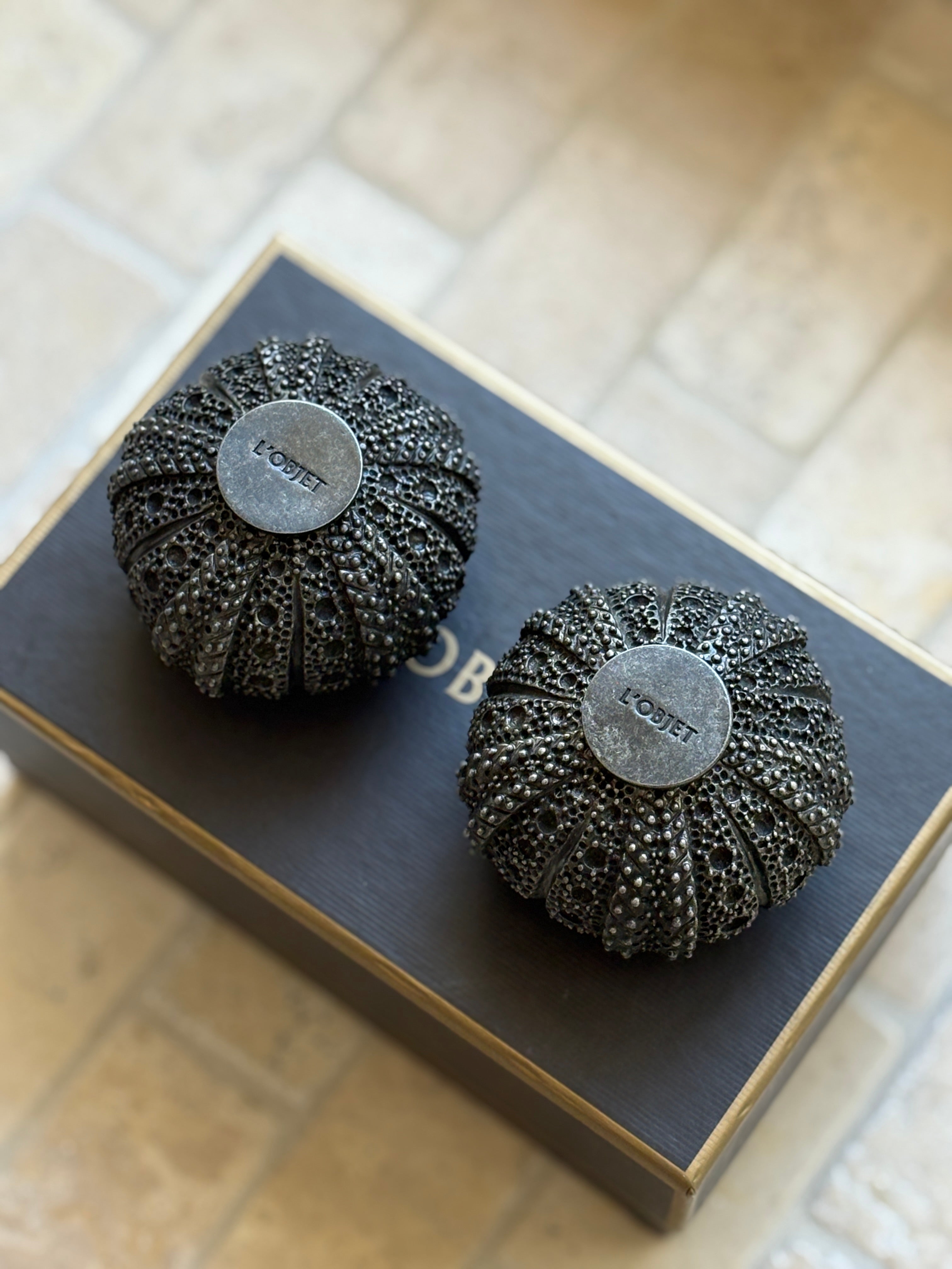 Sea Urchin Salt &amp; Pepper Shakers in Box by L&