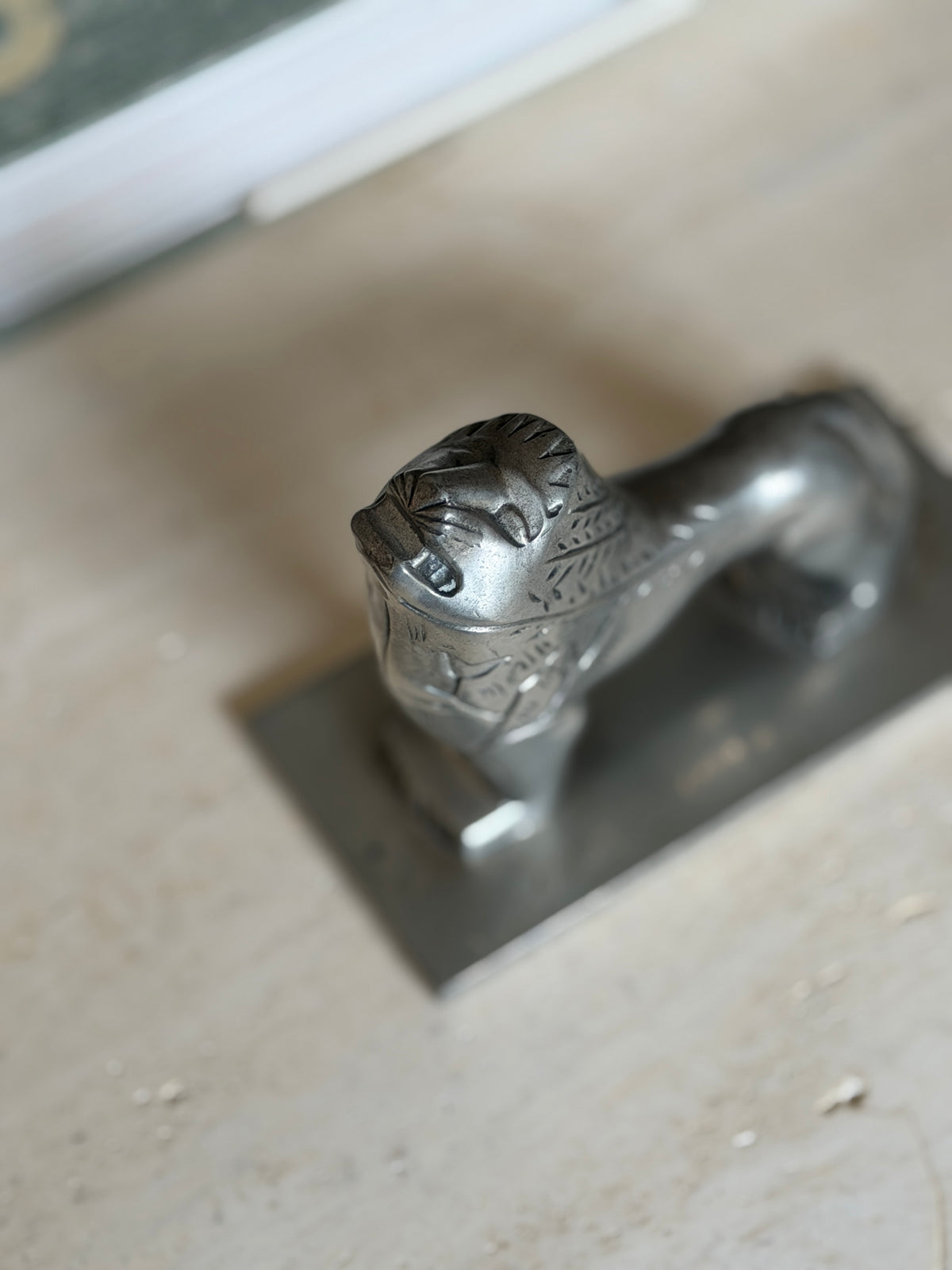 Close-up of the lion&