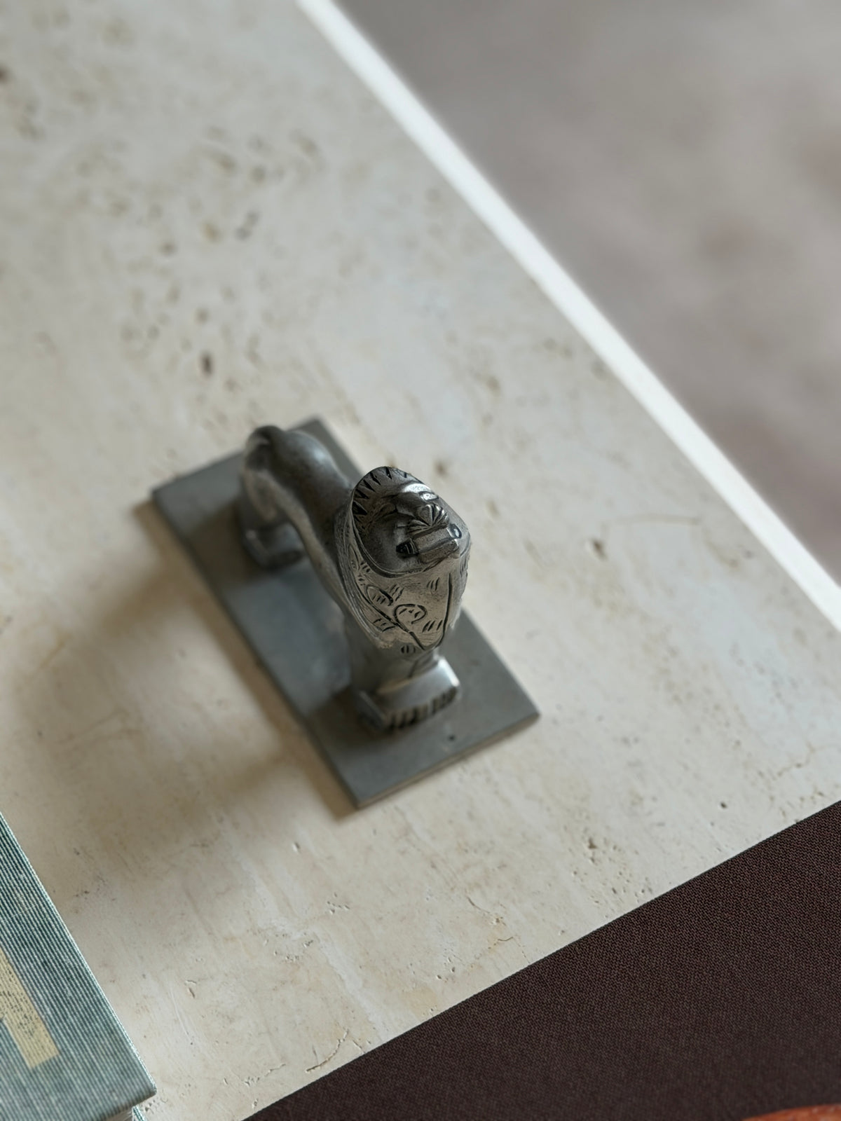 Overhead close-up of the lion&